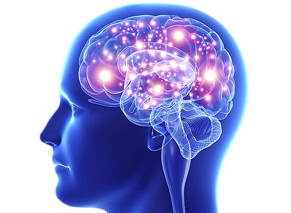 Genbrain to improve memory and attention